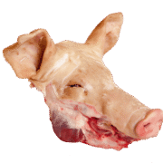 Wholesale Frozen Pork Head In France