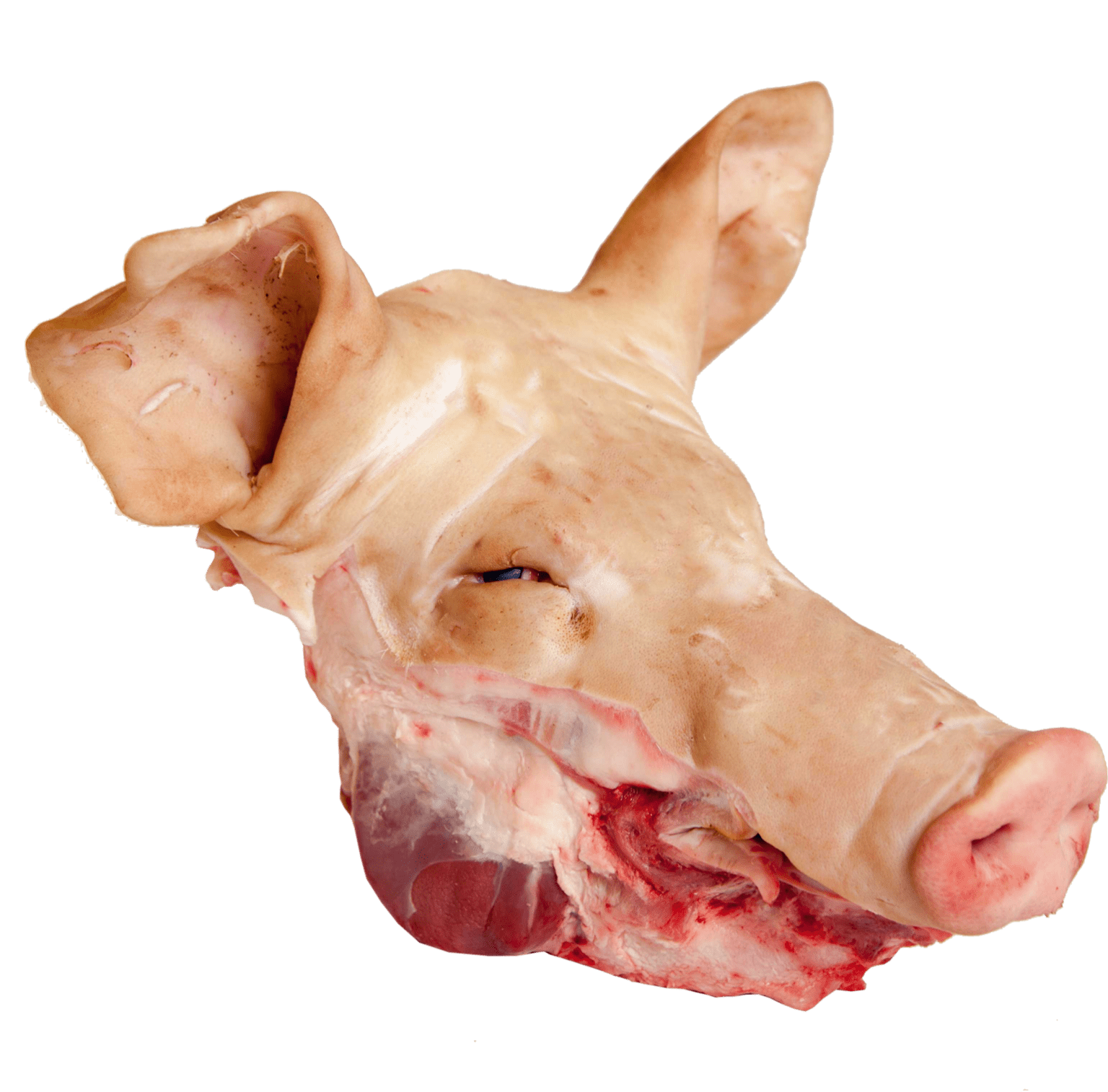 Wholesale Frozen Pork Head In France