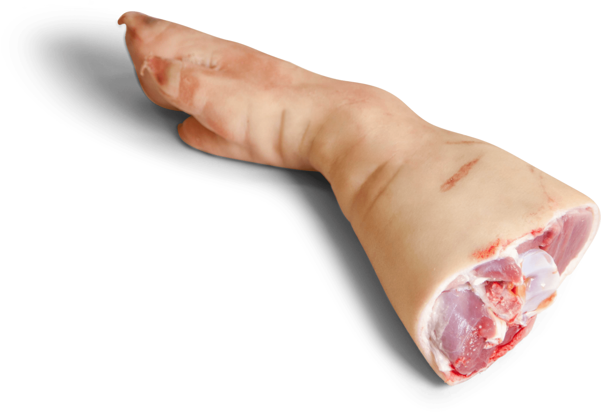 Wholesale Frozen Pork Lacones In France