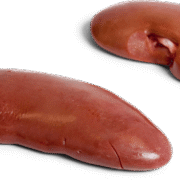 Wholesale Frozen Pork Kidney In France