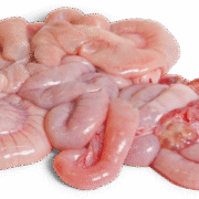 Wholesale Frozen Pork Small Intestines