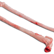 Buy Frozen Pork Penis In France