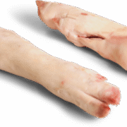 Wholesale Frozen Pork Hind Feet Long Cut